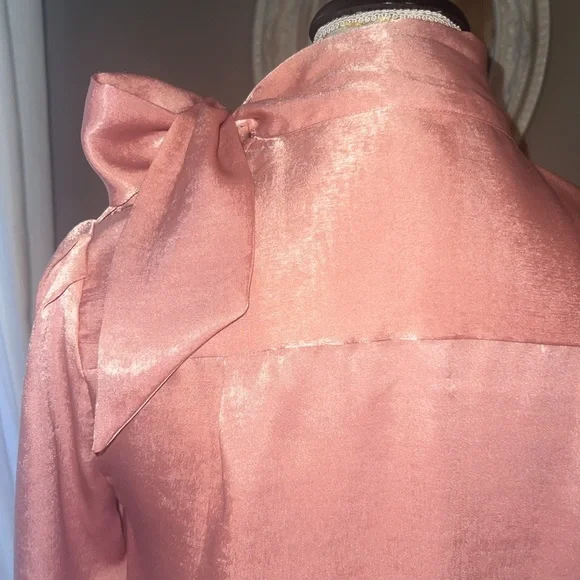 Worthington Petite XS pink women’s blouse with ribbon 🎀 tie bow button shirt XS - Picture 9 of 13